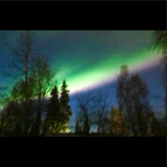 Meet your Posher, Carol - Picture 1 of 1